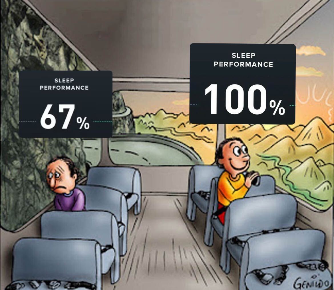 Tweet media